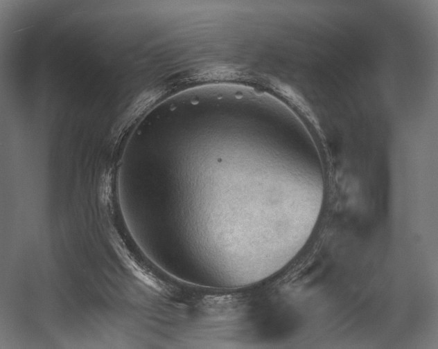 X0000058760057200510031030