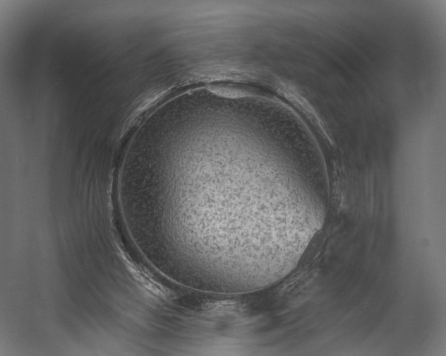 X0000058760058200510031030