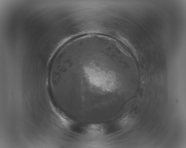 X0000058760060200510031030