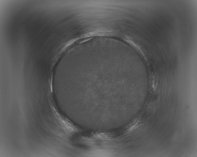 X0000058760062200510031030