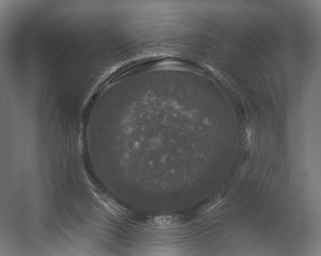 X0000058760064200510031030
