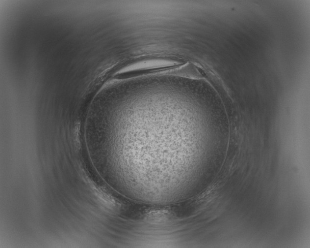 X0000058760066200510031030