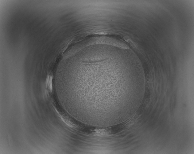 X0000058760070200510031030
