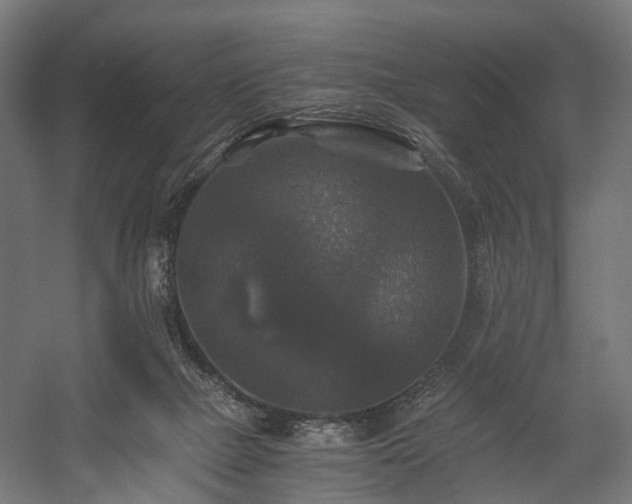 X0000058760073200510031030