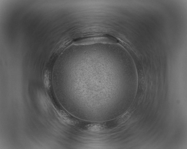 X0000058760074200510031030