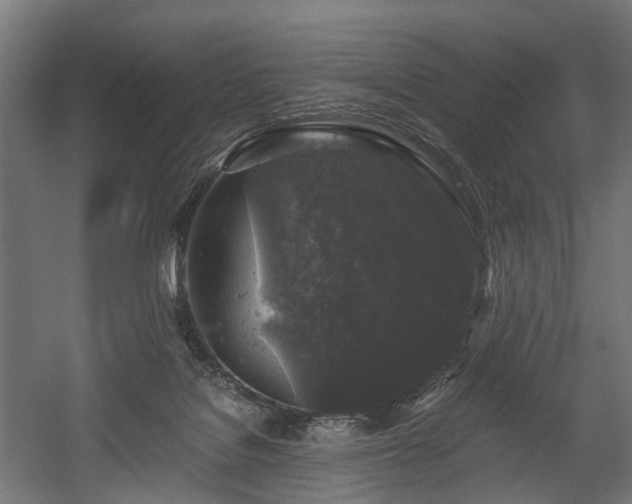 X0000058760076200510031030