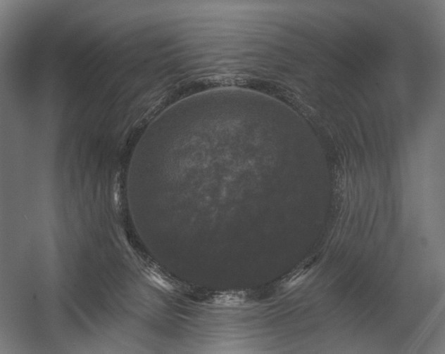X0000058760080200510031030