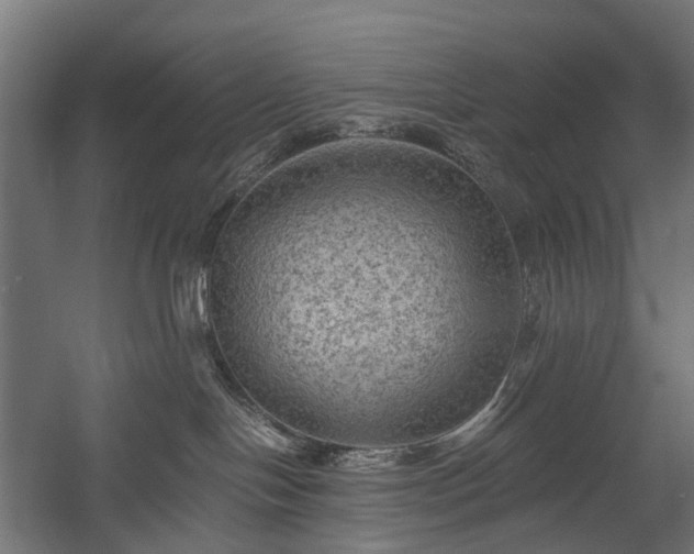 X0000058760094200510031030
