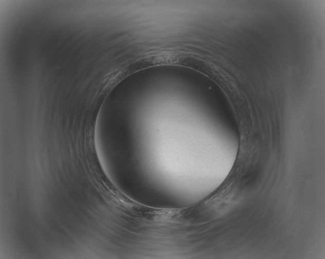 X0000058760096200510031030