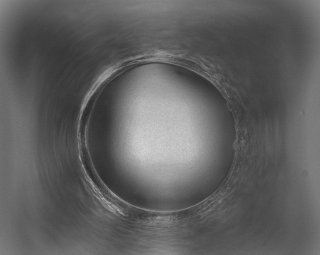 X0000058760102200510031029