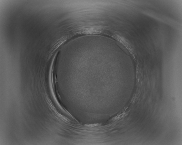 X0000058760105200510031029