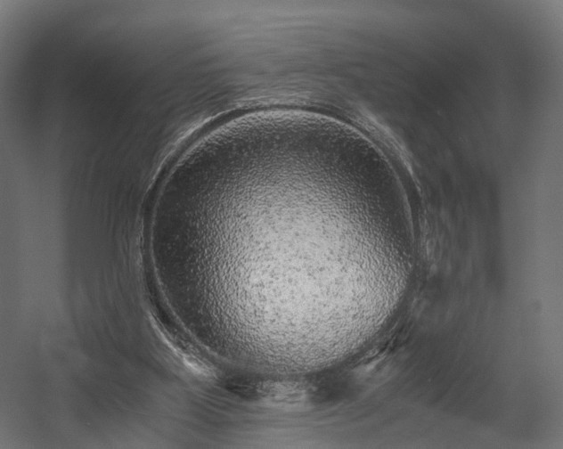 X0000058760107200510031029