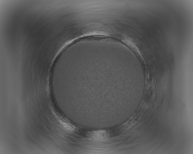X0000058760108200510031029