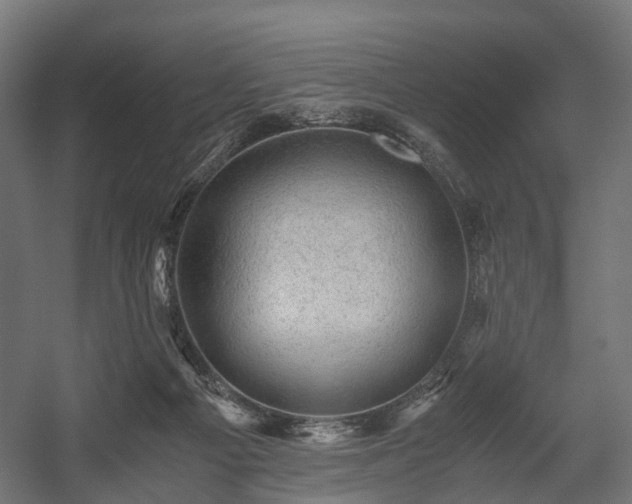 X0000058760121200510031029
