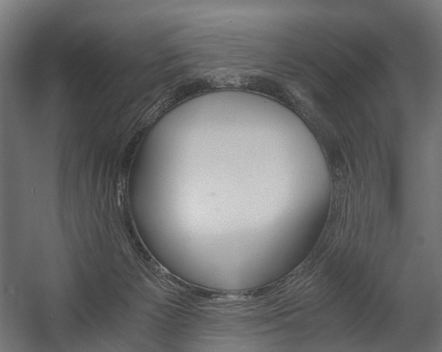 X0000058760125200510031029