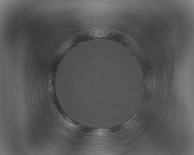 X0000058760128200510031029