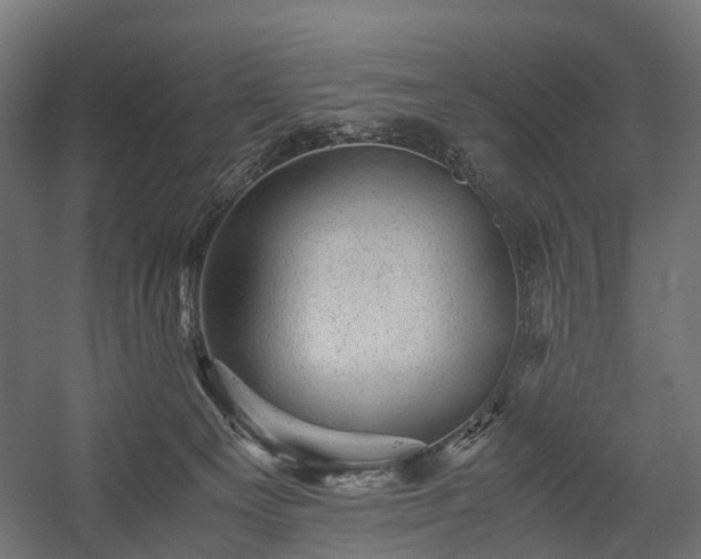 X0000058760129200510031029