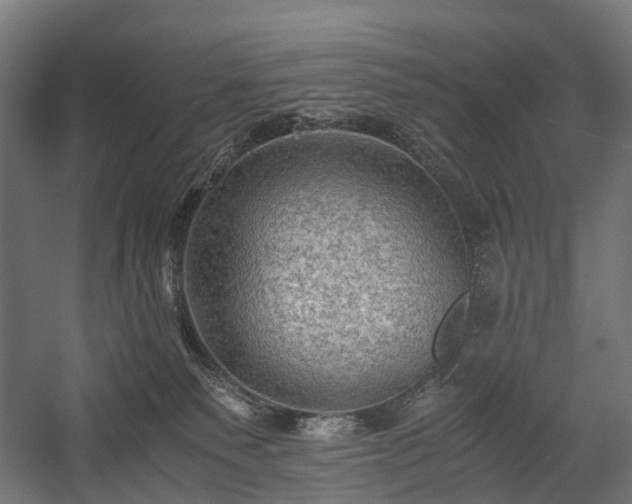 X0000058760135200510031029
