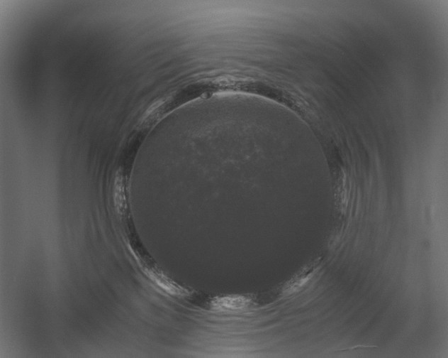 X0000058760137200510031029