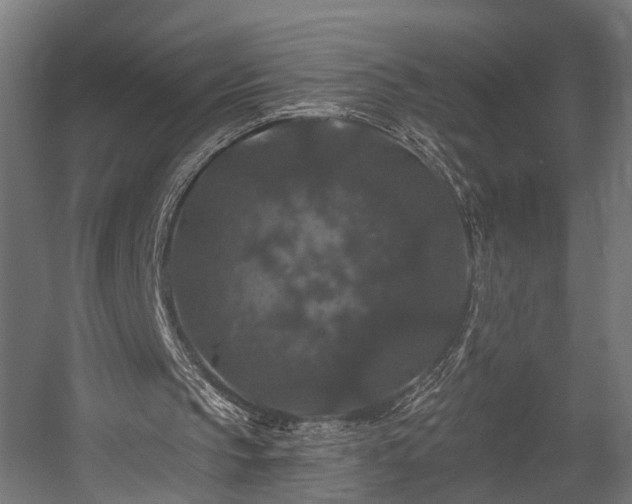 X0000058760145200510031028