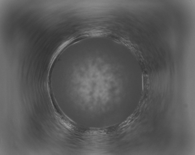 X0000058760147200510031028