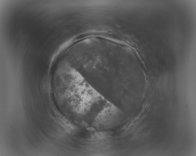 X0000058760149200510031028