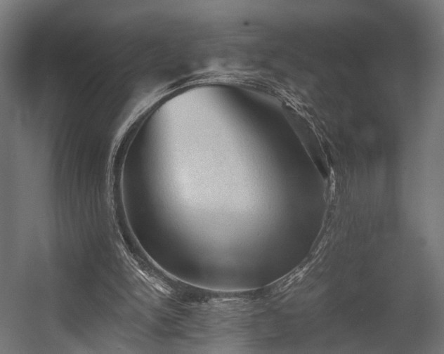 X0000058760150200510031028