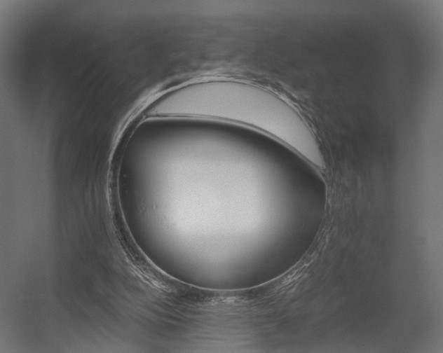 X0000058760152200510031028
