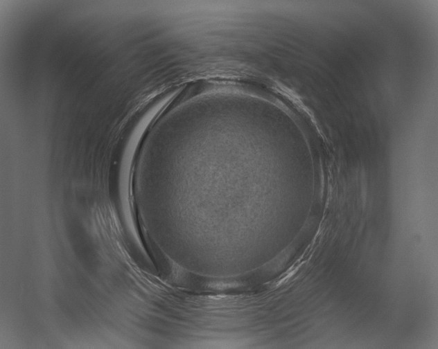 X0000058760154200510031028