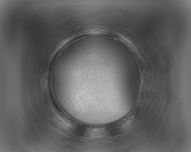 X0000058760155200510031028