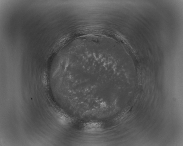 X0000058760161200510031028