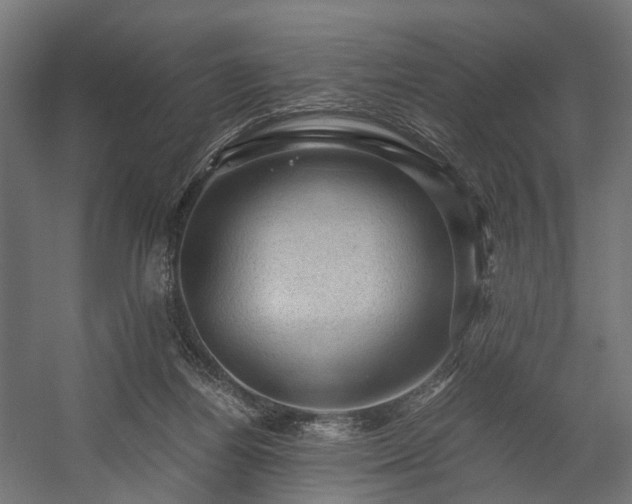 X0000058760164200510031028