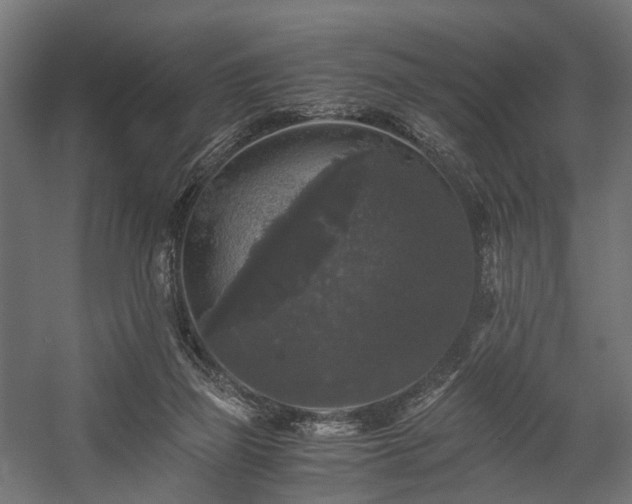 X0000058760165200510031028