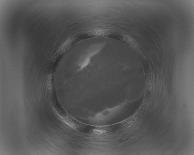 X0000058760167200510031028