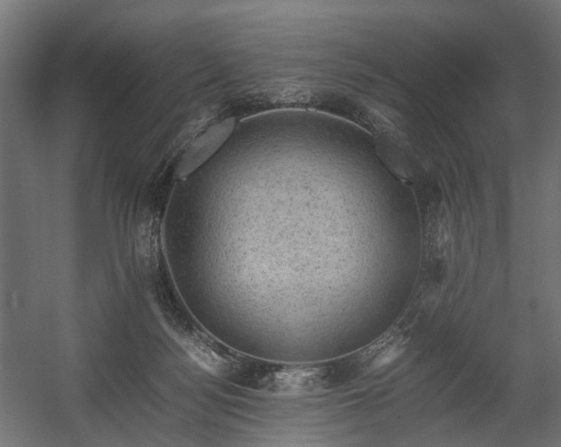 X0000058760172200510031028