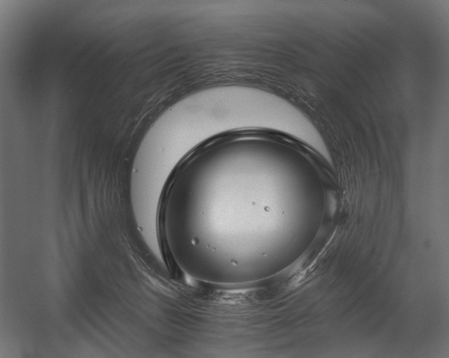 X0000058760175200510031028