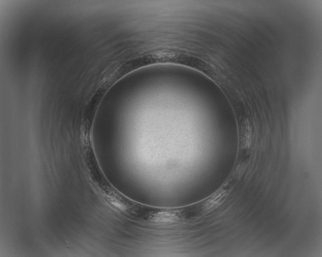 X0000058760176200510031028