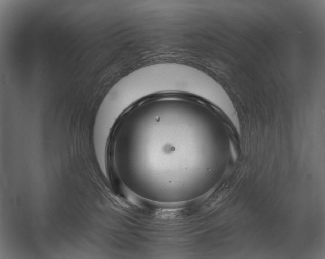 X0000058760185200510031029