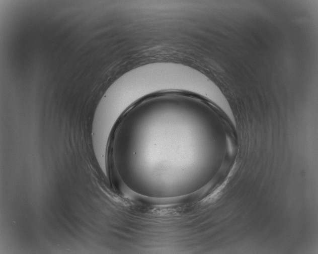 X0000058760186200510031029