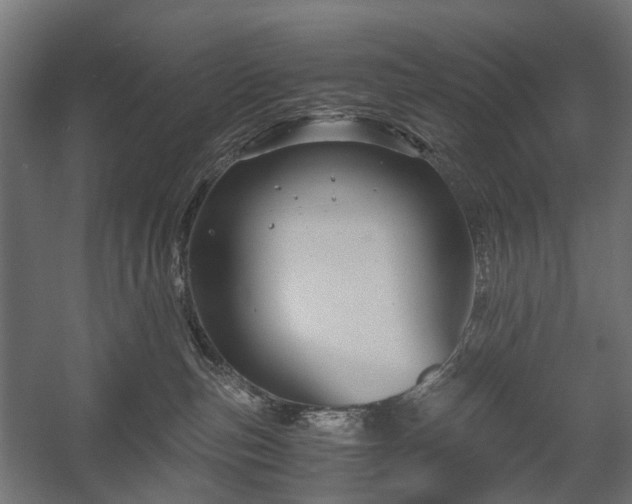 X0000058760187200510031029