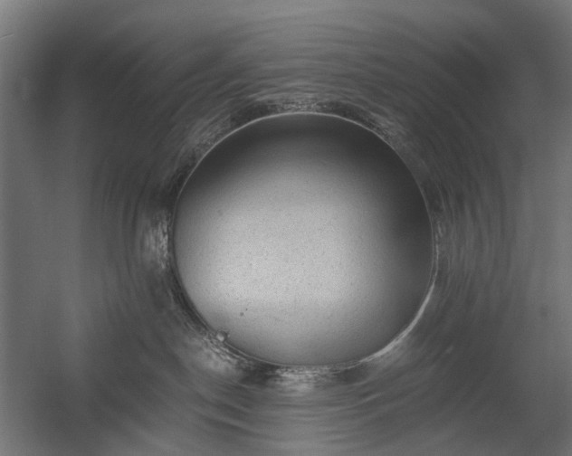 X0000058760190200510031029
