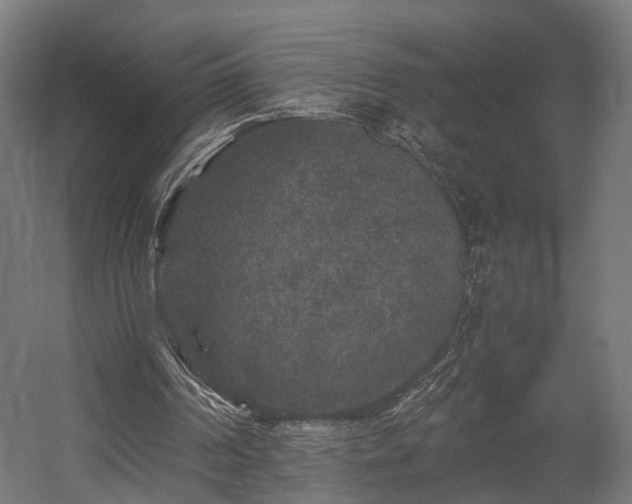 X0000058760194200510031028