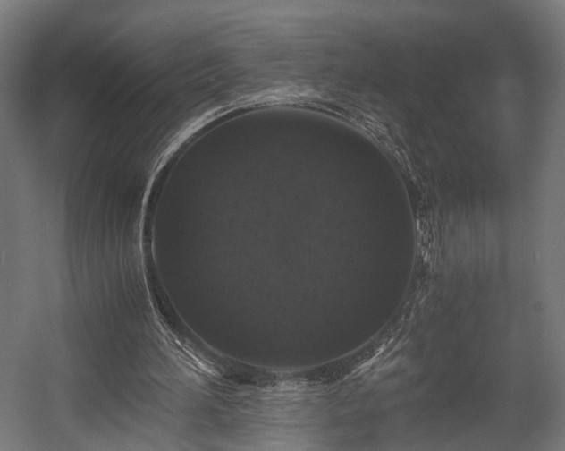 X0000058760196200510031028