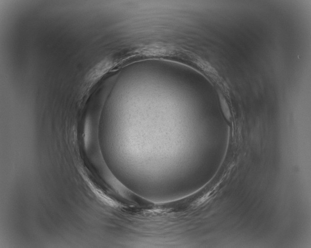 X0000058760201200510031028