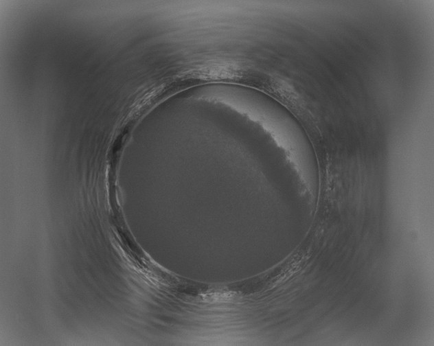 X0000058760202200510031028
