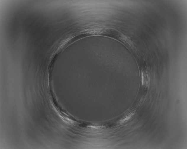 X0000058760205200510031028