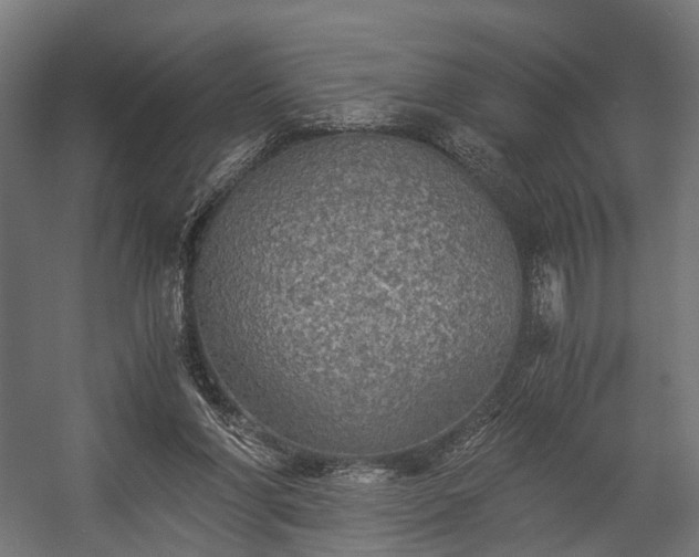 X0000058760206200510031028