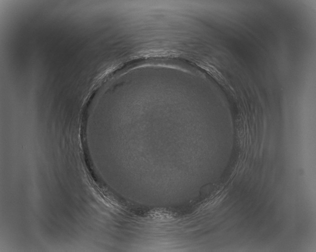 X0000058760207200510031028