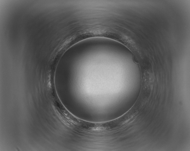 X0000058760212200510031027