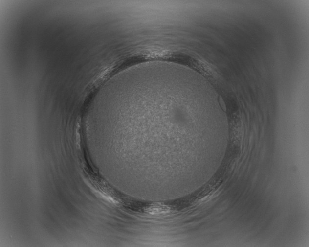 X0000058760215200510031027